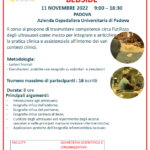 Screenshot 2022-11-06 at 17-16-18 Presentazione standard di PowerPoint – corso ecografia infermieristica PADOVA